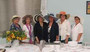 St. Martin Council on Aging Inc